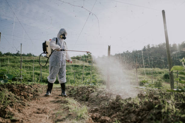 Best Pest Removal Services  in Tton, IL