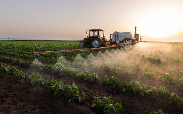 Best Pest Control Near Me  in Tton, IL