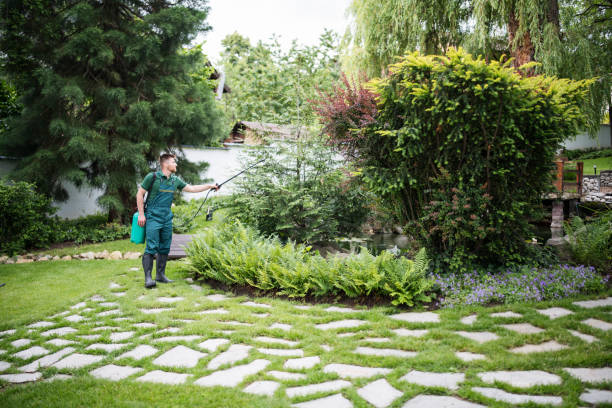 Best Wildlife Control Services  in Tton, IL