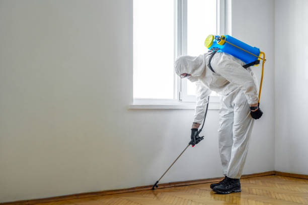 Best Exterminator Services  in Tton, IL