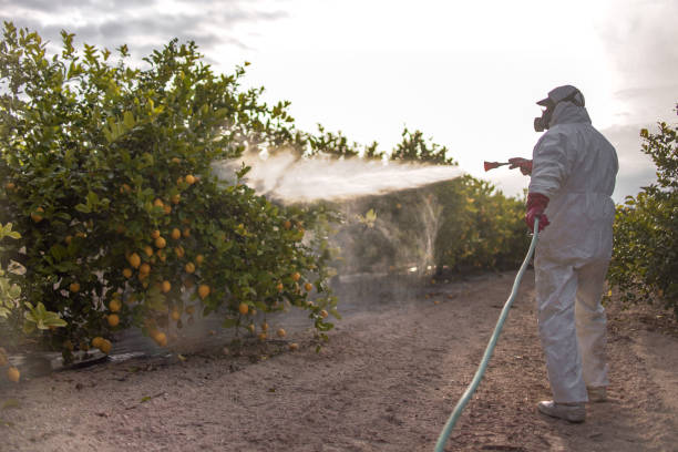 Best Best Pest Control Companies  in Tton, IL