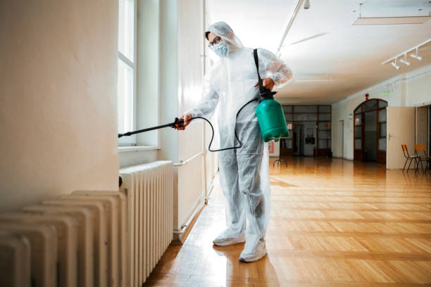 Best Local Pest Control Services  in Tton, IL